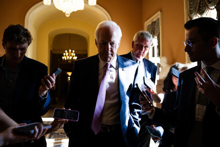 Sen. John Cornyn (R., Texas) during a vote at the Capitol last week.