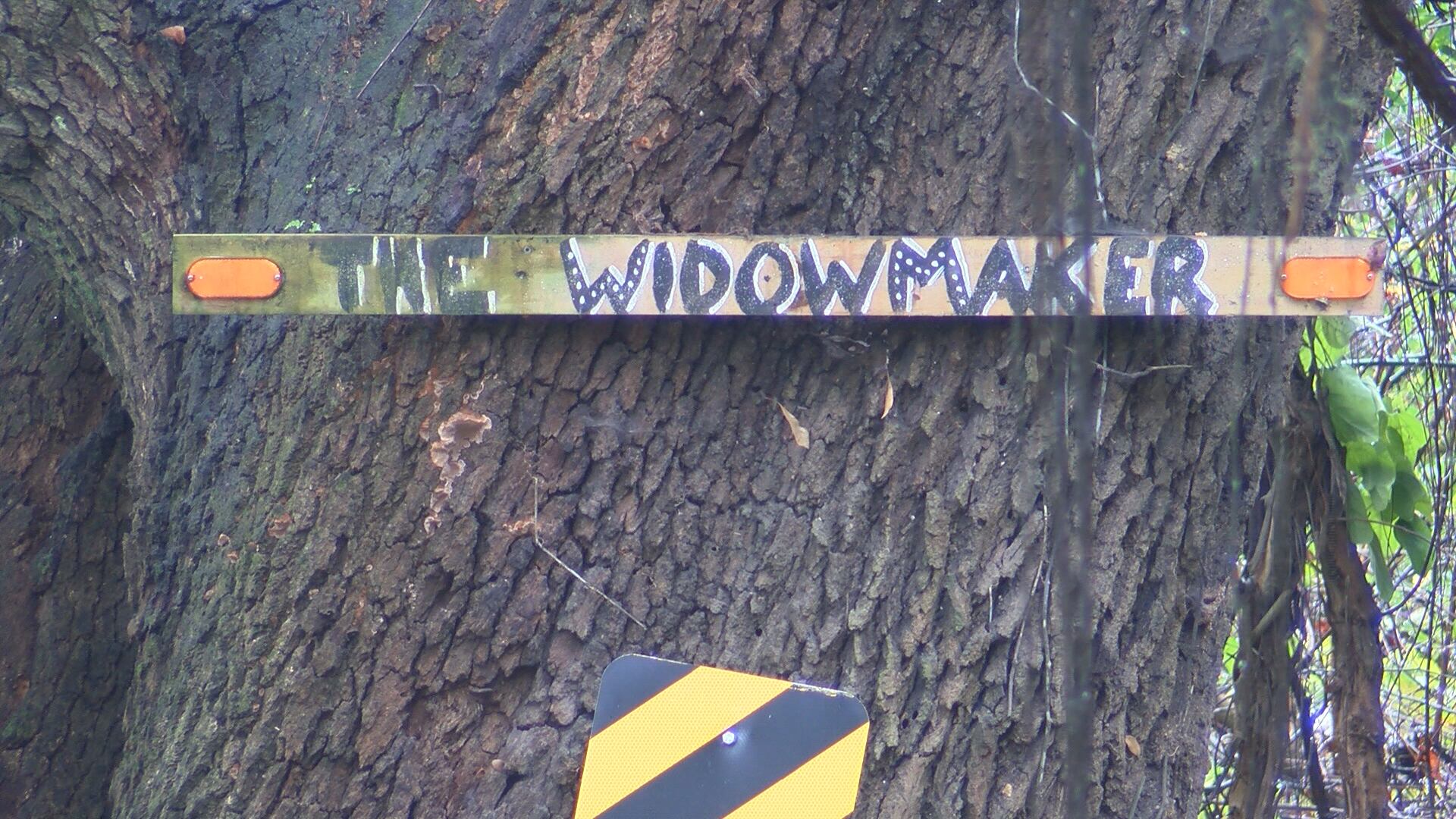 Settlement reached after brothers killed in 'Widowmaker' crash