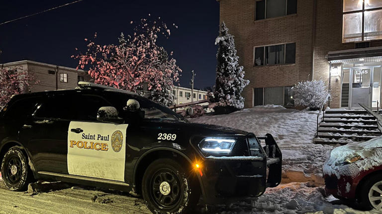 St. Paul woman accused in Valentine's Day deadly apartment stabbing ...