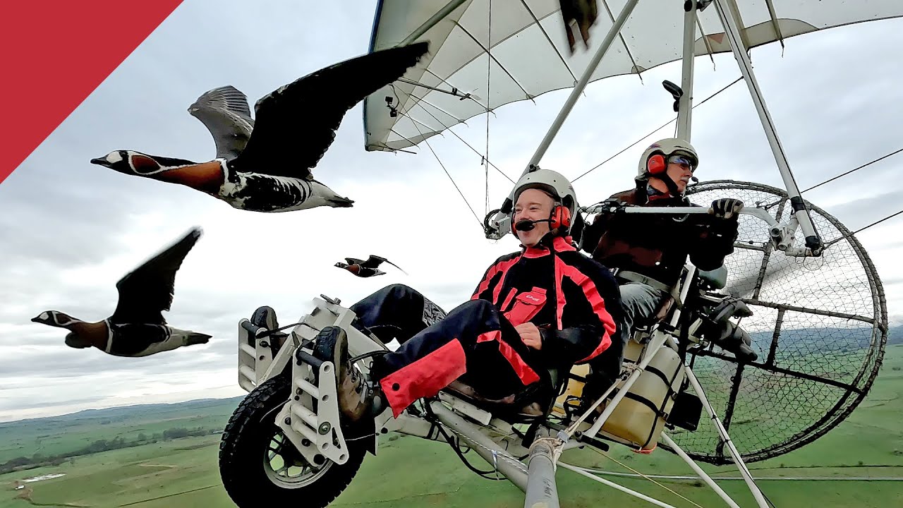 I took to the skies with flocks of birds