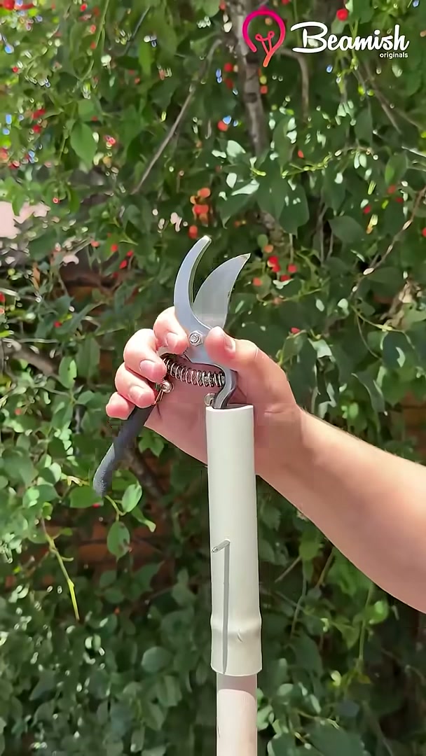 How to reach high branches with a homemade pruning tool