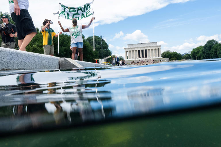 Why Trump’s reflecting pool is driving him mad: Michael Wolff
