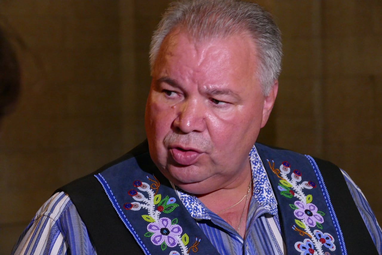 Métis federation sues Manitoba, federal governments over hunting and ...