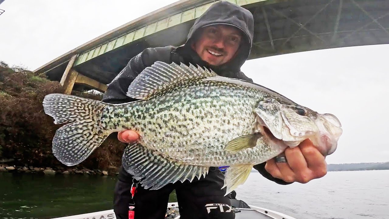 Crappie fishing bridges rain Livescope catching slabs