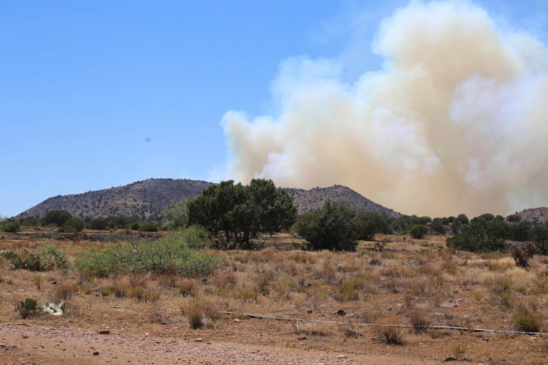 Sycamore Fire burns 9,530 acres north of Globe as crews gain ground