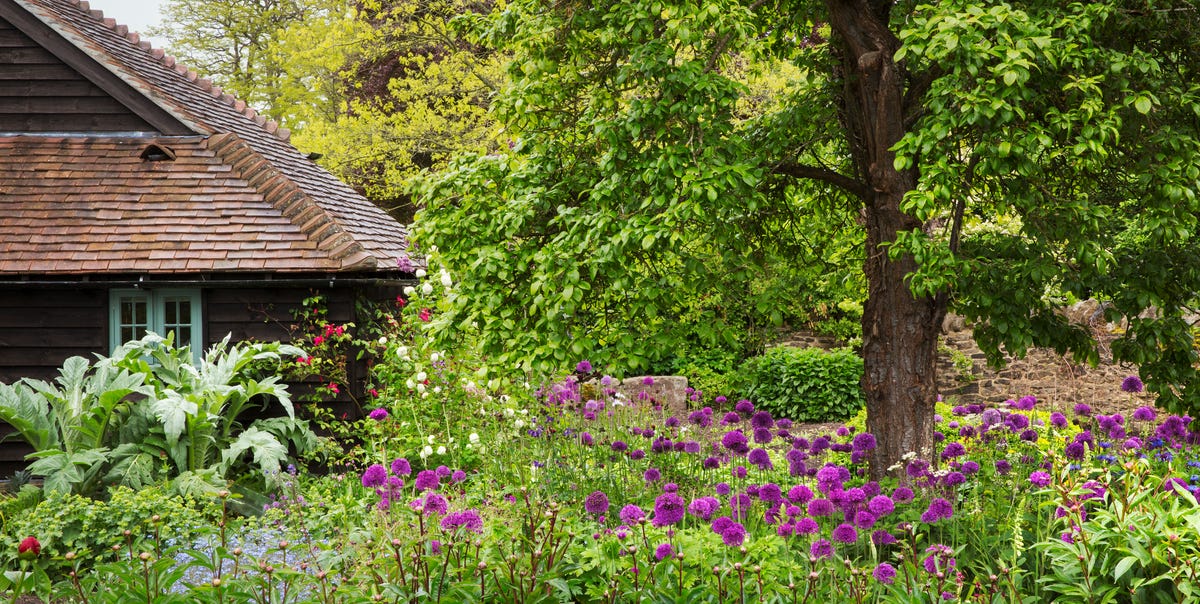 5 surprising garden features that could affect your home insurance ...