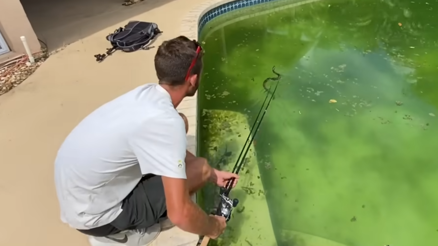 Watch what happens when he finds fish in a forgotten pool... seconds ...