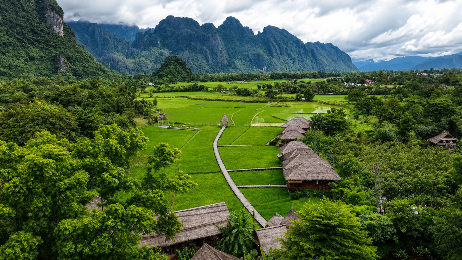 Rice fields hidden below Laos limestone cliffs