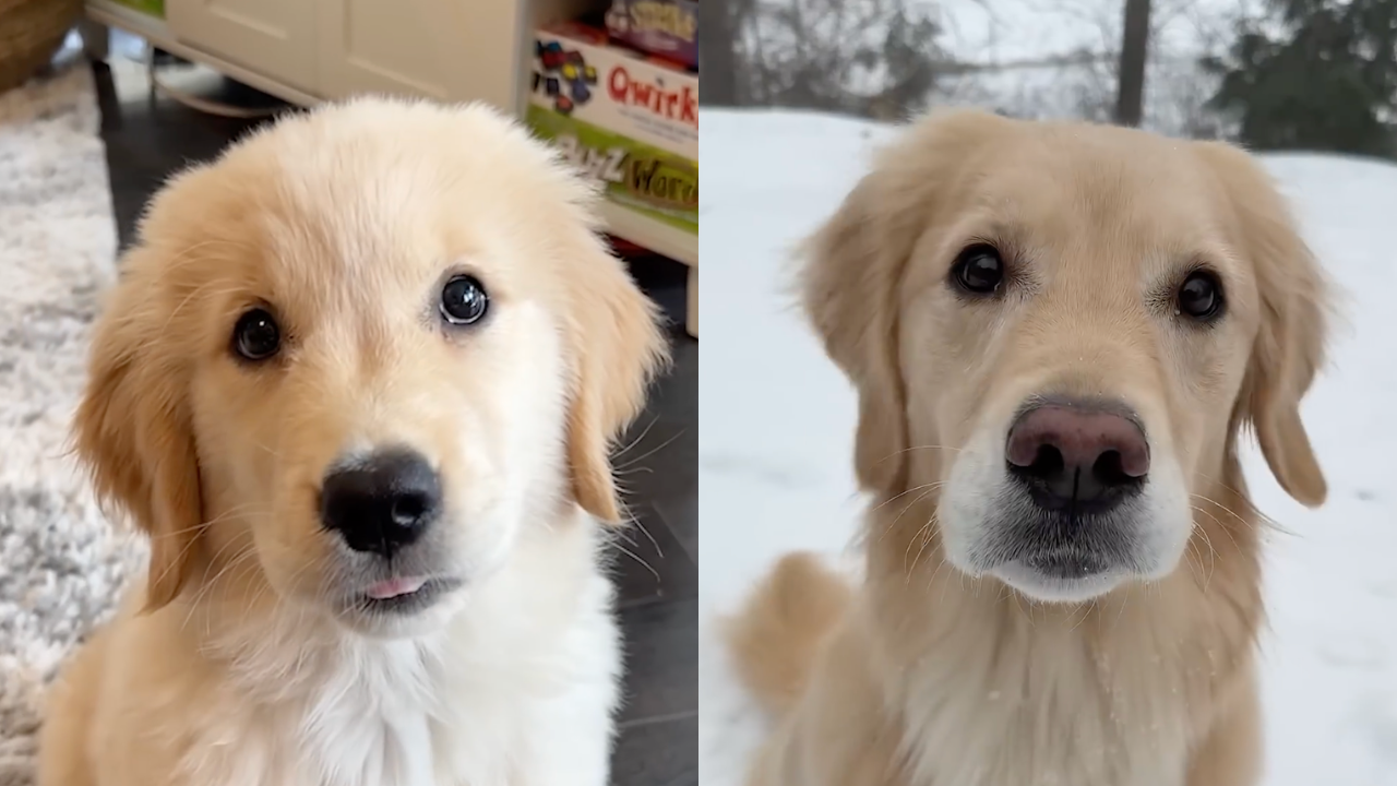 Wait... Emma's nose actually changes colors