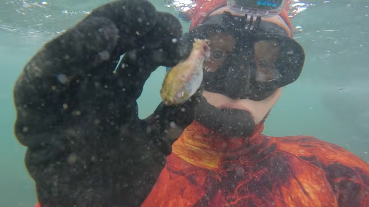 This reef was so rough they could barely move - then they found 233 ...