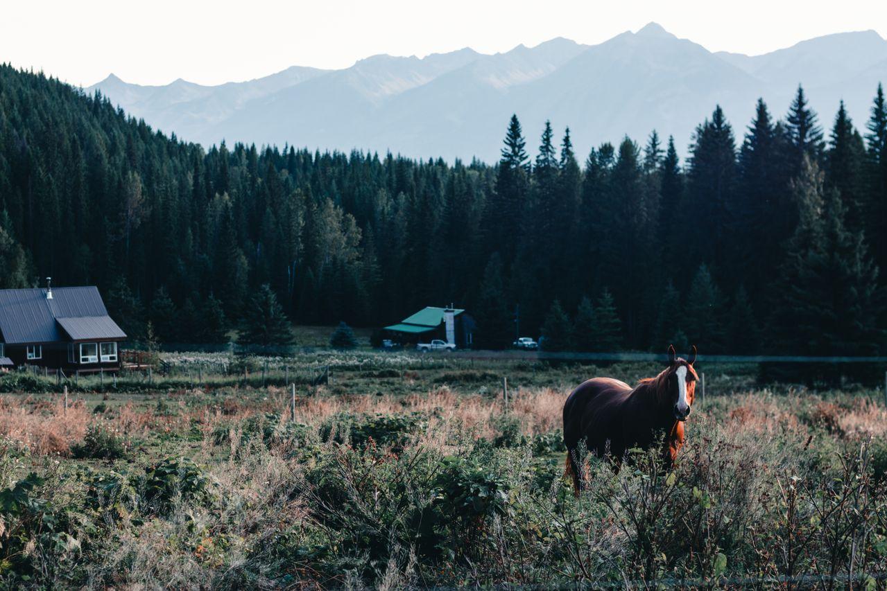 Rural Canada is not just aging. It is disappearing. The services leave ...