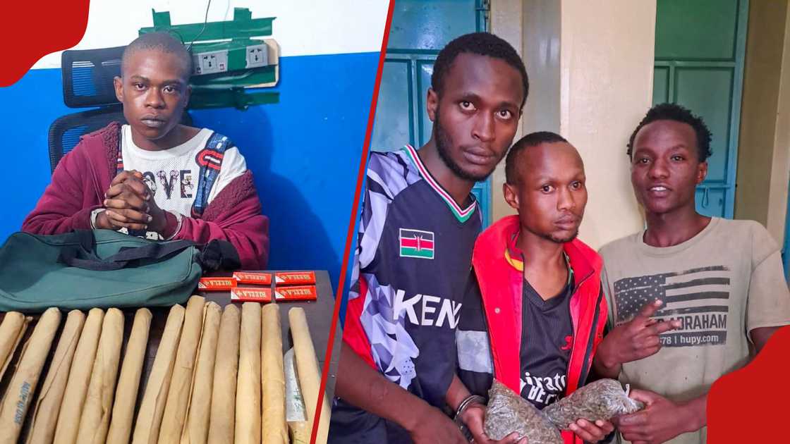 NPS ramps up war on drugs and illicit brews with multi-agency raids ...
