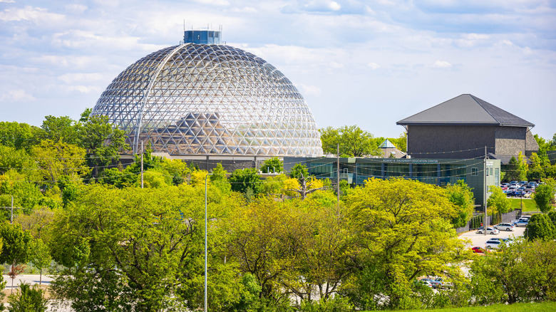 North America's 'largest indoor swamp' is a Nebraska gem with a ...