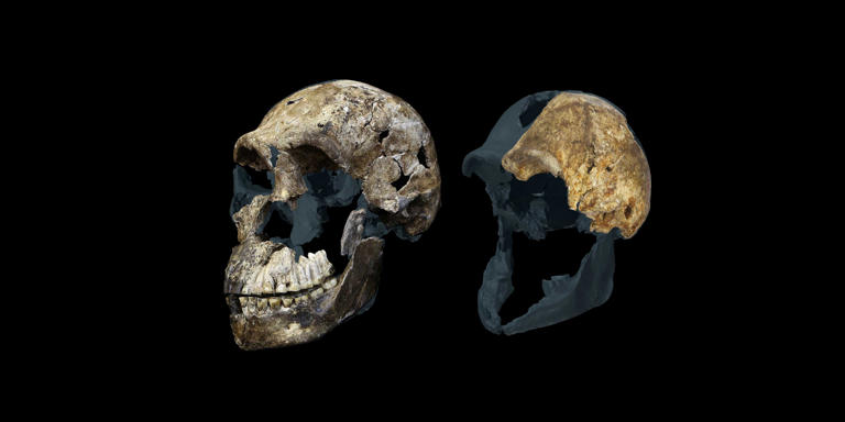 New discoveries shed light on aspects of prehistoric feminism