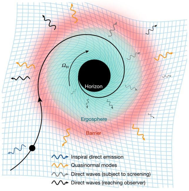 Scientists may have detected the first signature of a black hole's ...