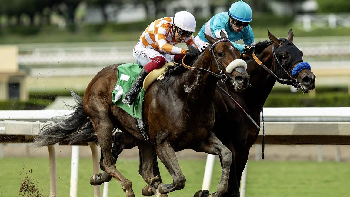 Grade 1-placed Mr. A P highlights Tokyo City Cup