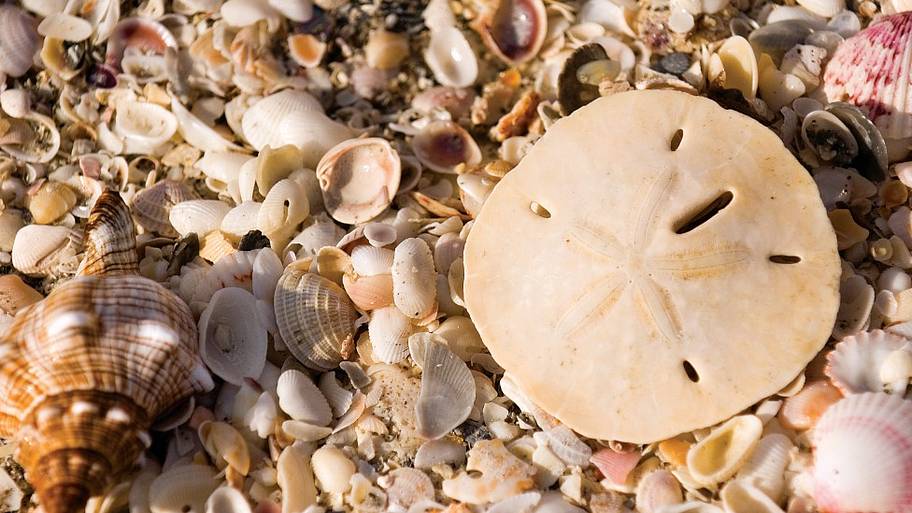 Sanibel Island
