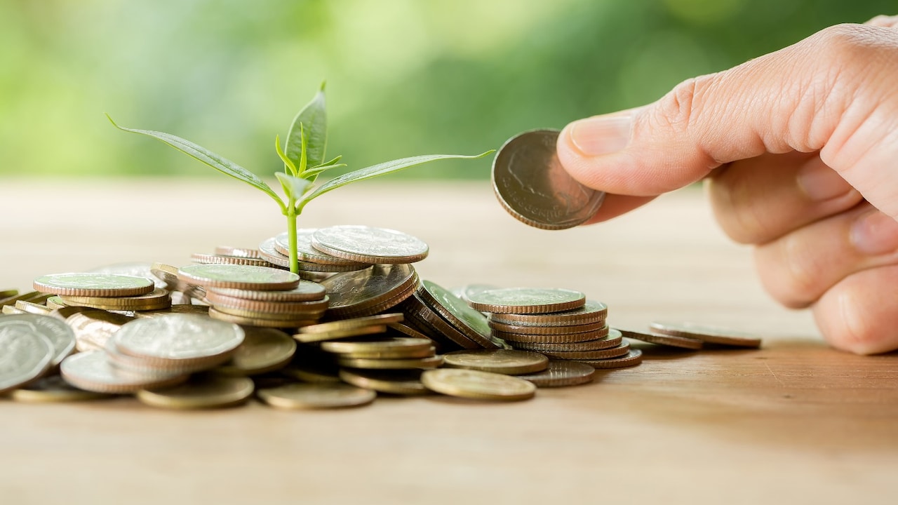 Sa-Dhan eyes stronger funding support for smaller MFIs, says new chairperson
