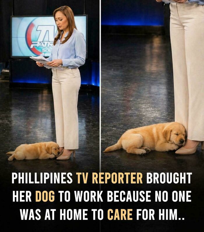 52 Heartwarming Posts That Prove The World Is Still Full Of Good