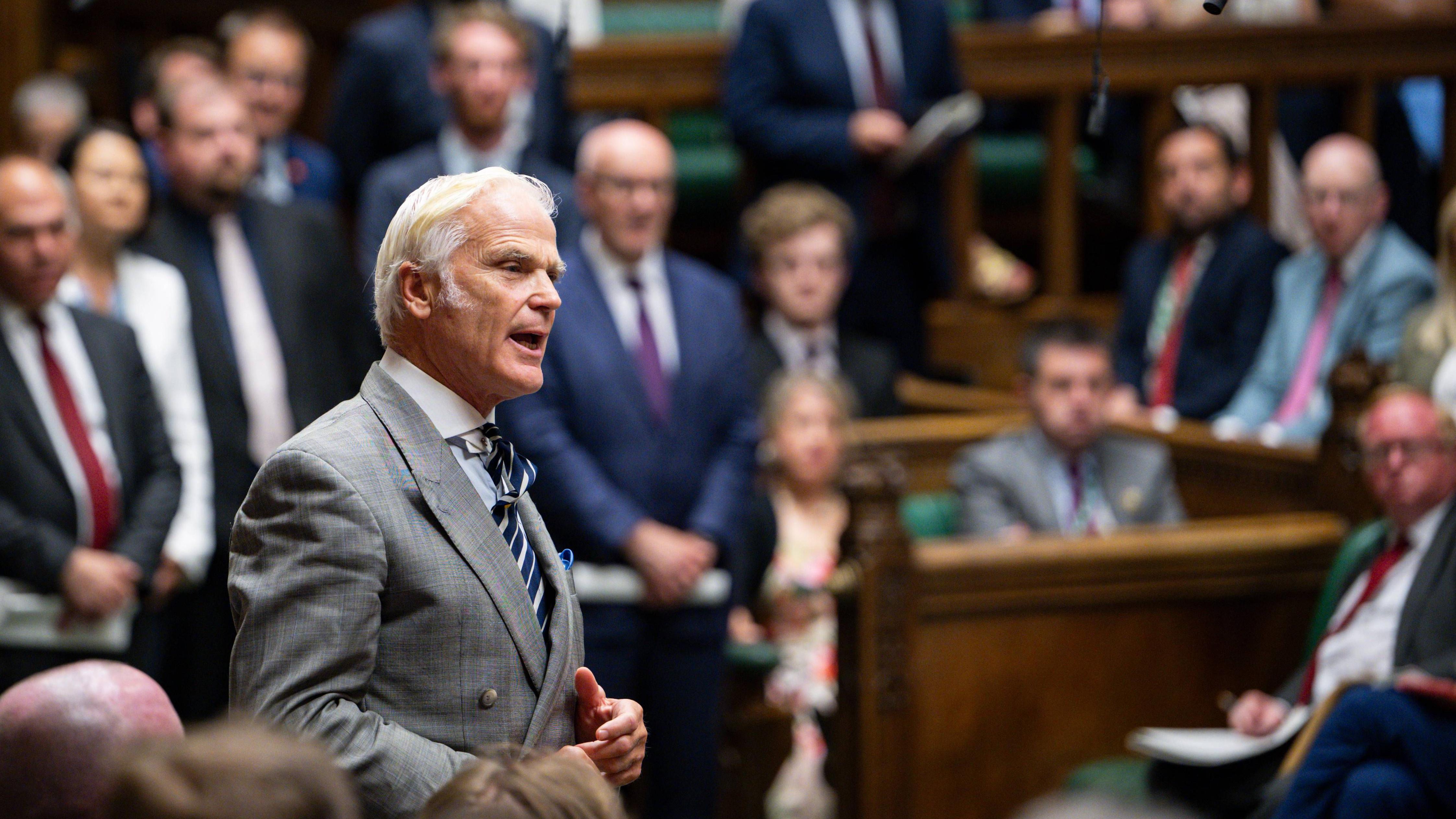 Commons' tale of lion, nurse and bottle of champagne