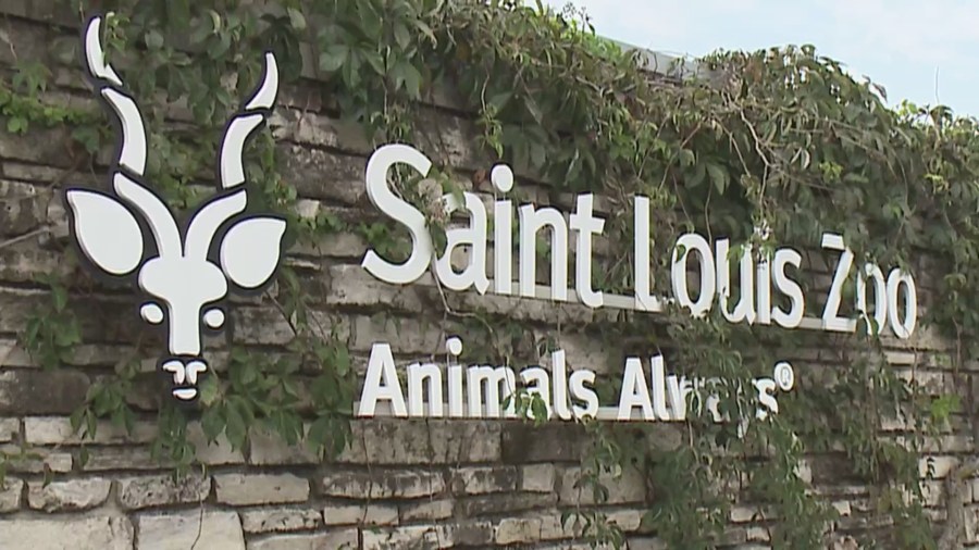 Saint Louis Zoo among zoos, aquariums targeted in 'swatting' incidents across the country