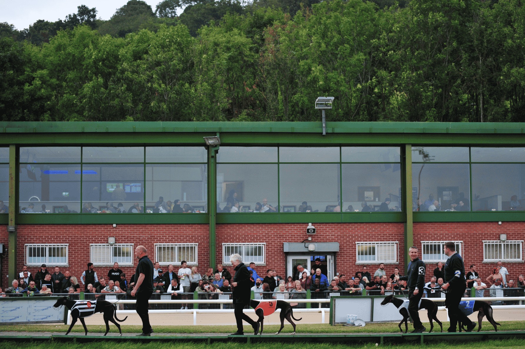 Greyhound racing to celebrate its centenary in Nottingham