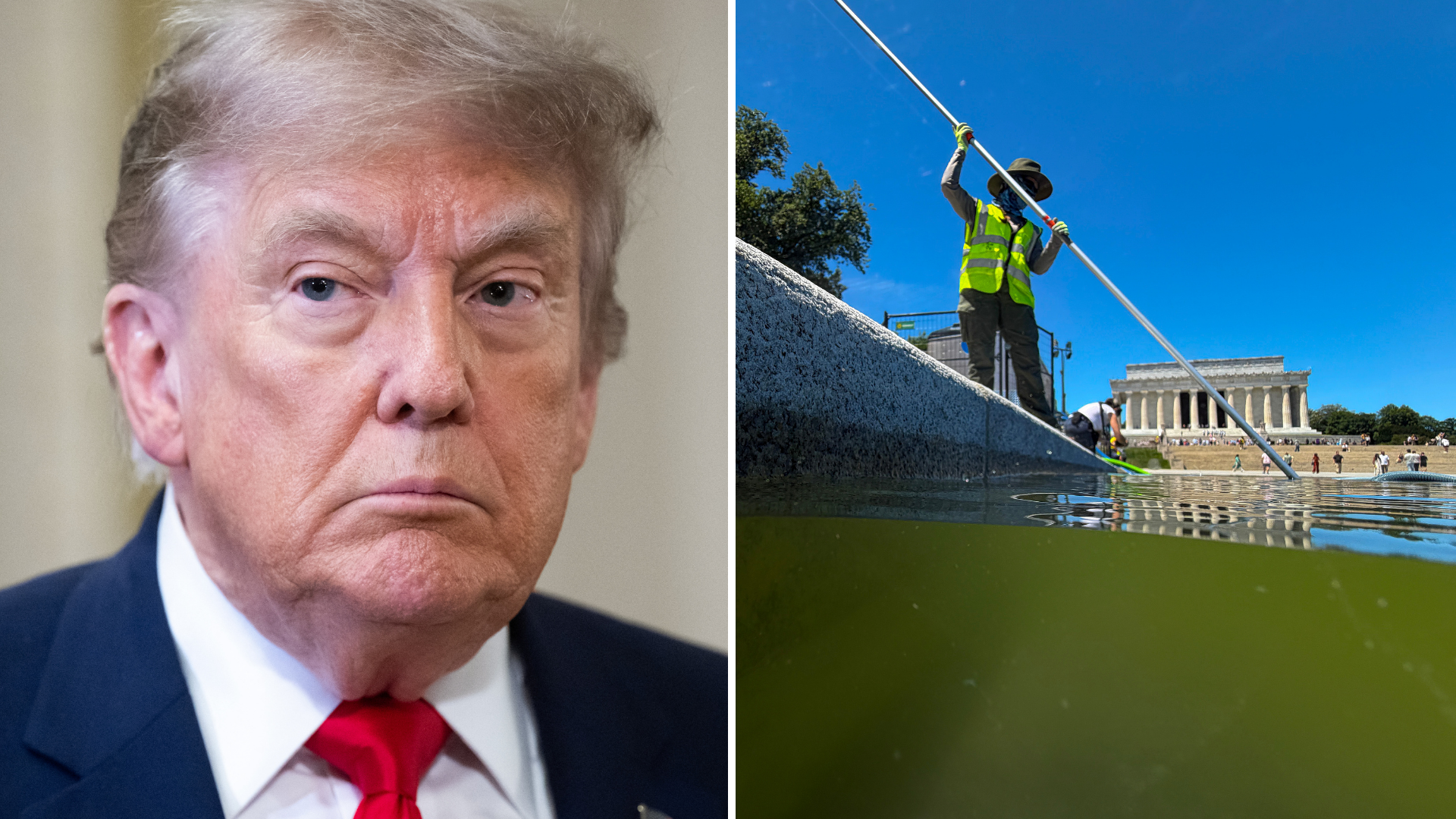 'Daily Show' points out irony in Trump's Reflecting Pool vandal claims