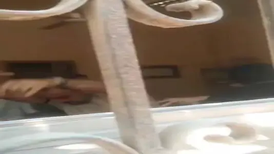 كواليس اقتحام وحدة صحية والاعتداء على طبيبة أسنان بشبرا الخيمة (5)
