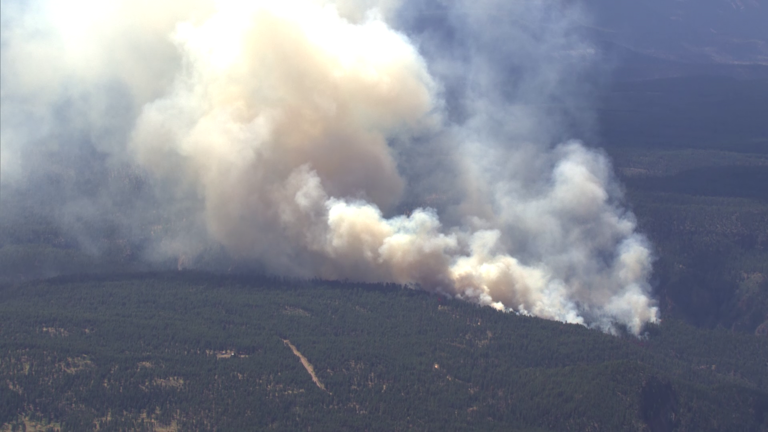 McCauley Springs fire affected households given deadline for SNAP benefits