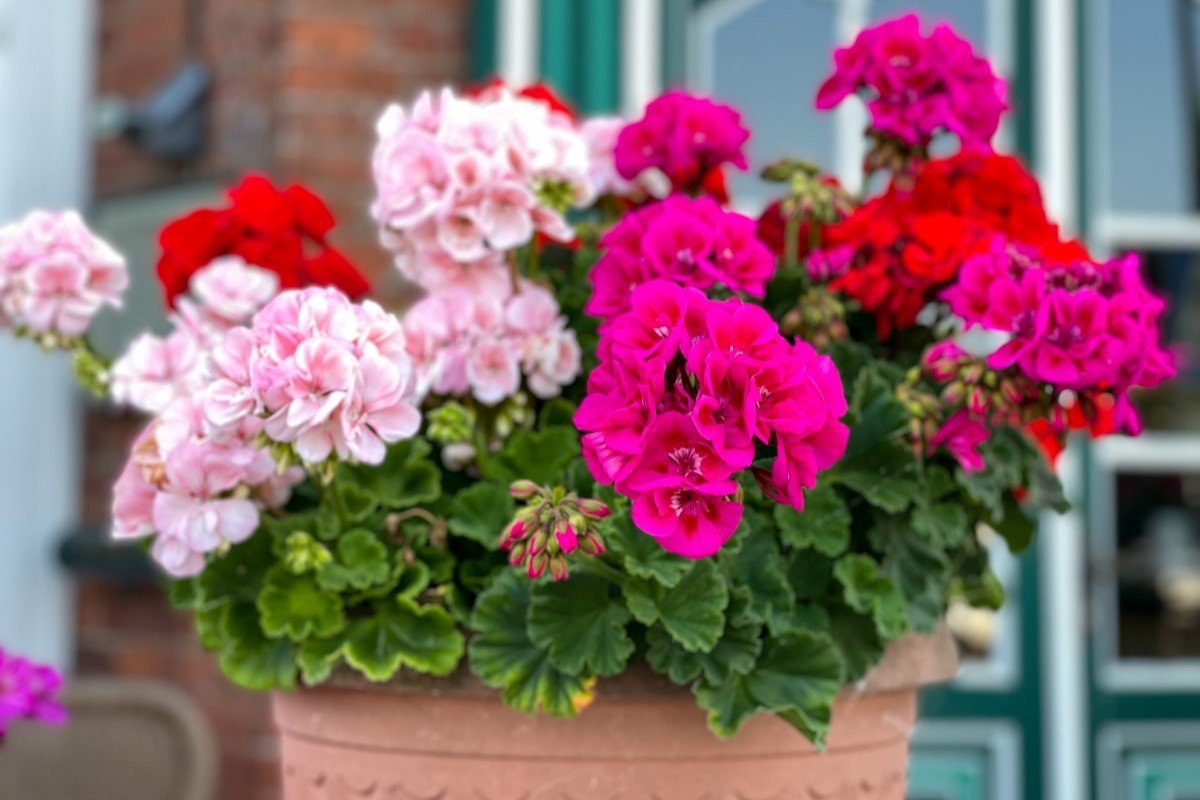 Photo: Lapasmile via Adobe Stock