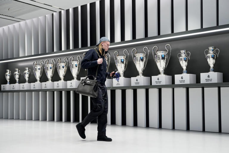 Norwegian soccer star Erling Haaland’s fans are going wild over his ...