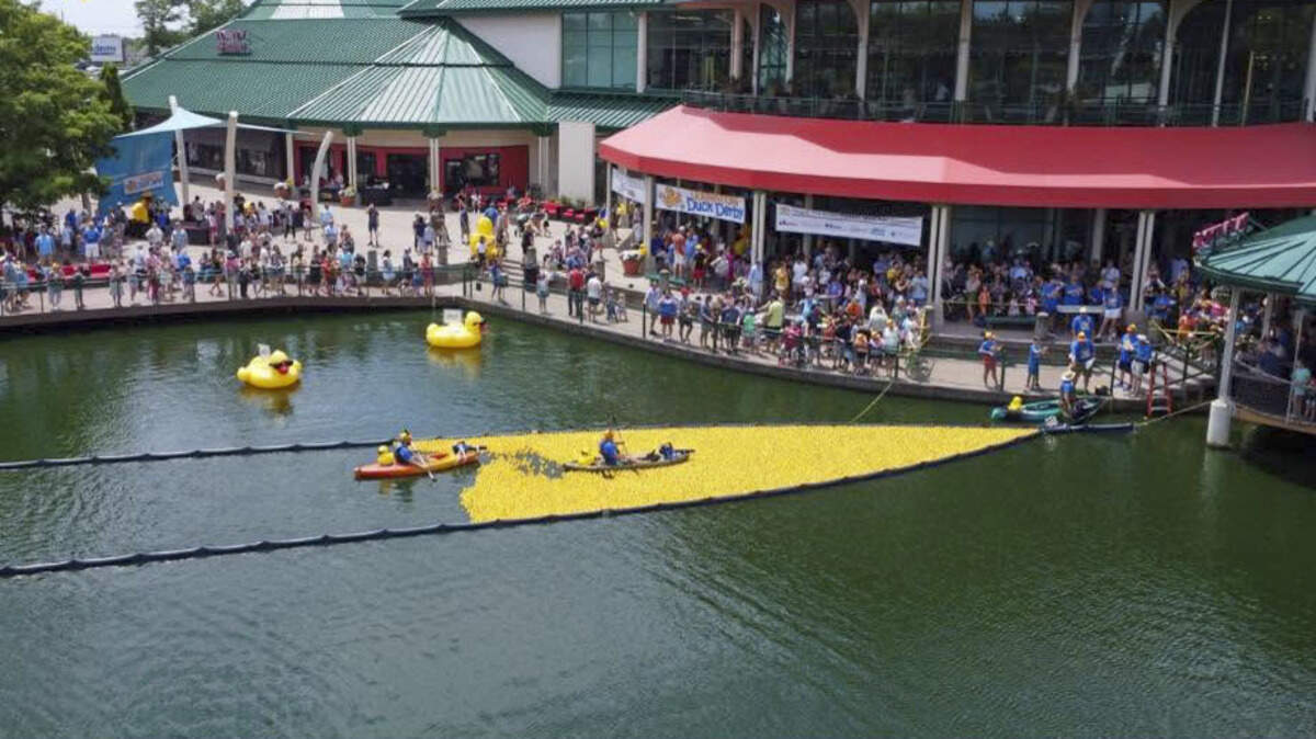 What the duck? Why thousands of plastic ducks will race this weekend in ...