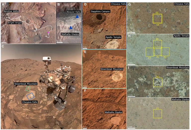 Perseverance finds complex organic compounds in strange Mars rocks