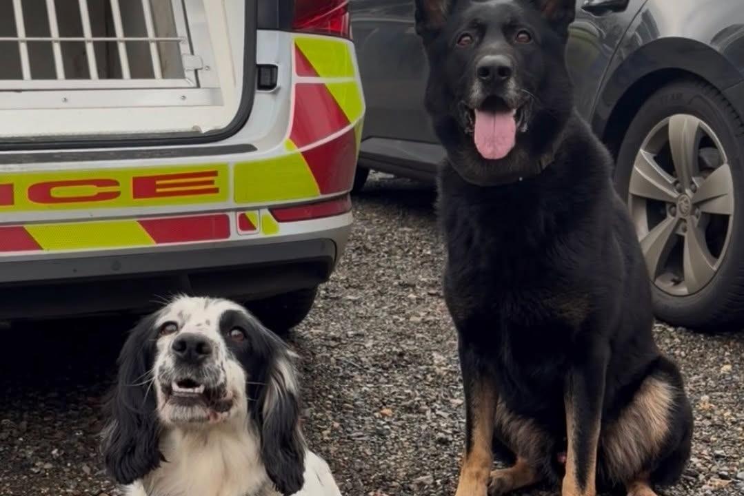 Police smash window to rescue pups from boiling hot car – and issue a ...