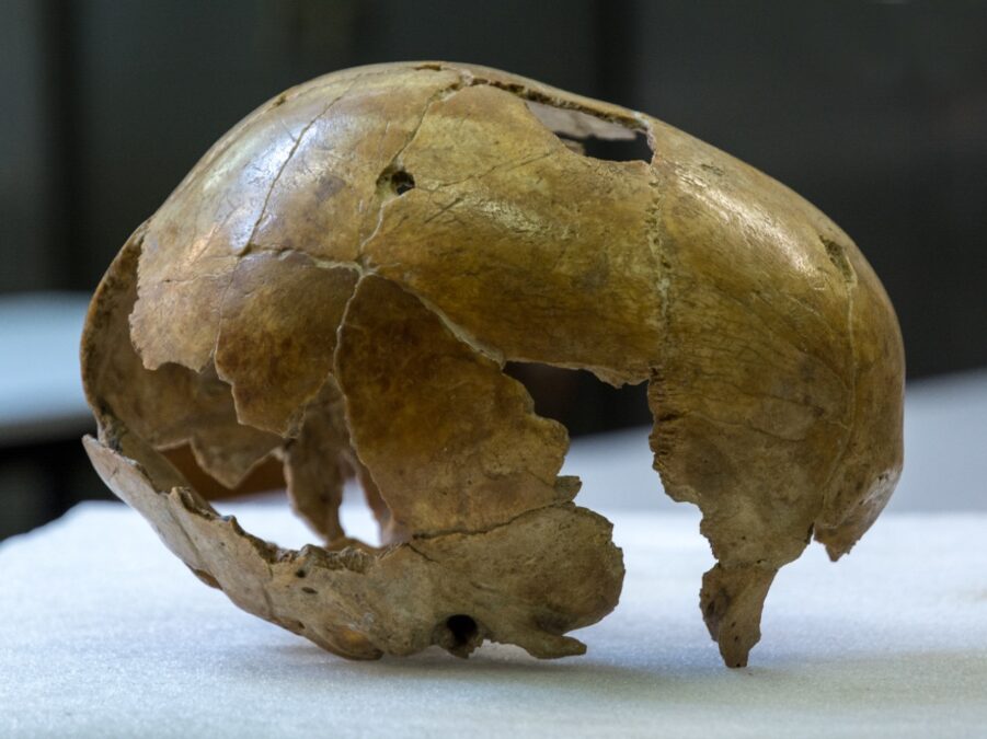 Ancient DNA Reveals a Genetic Surprise in The Last Neanderthals