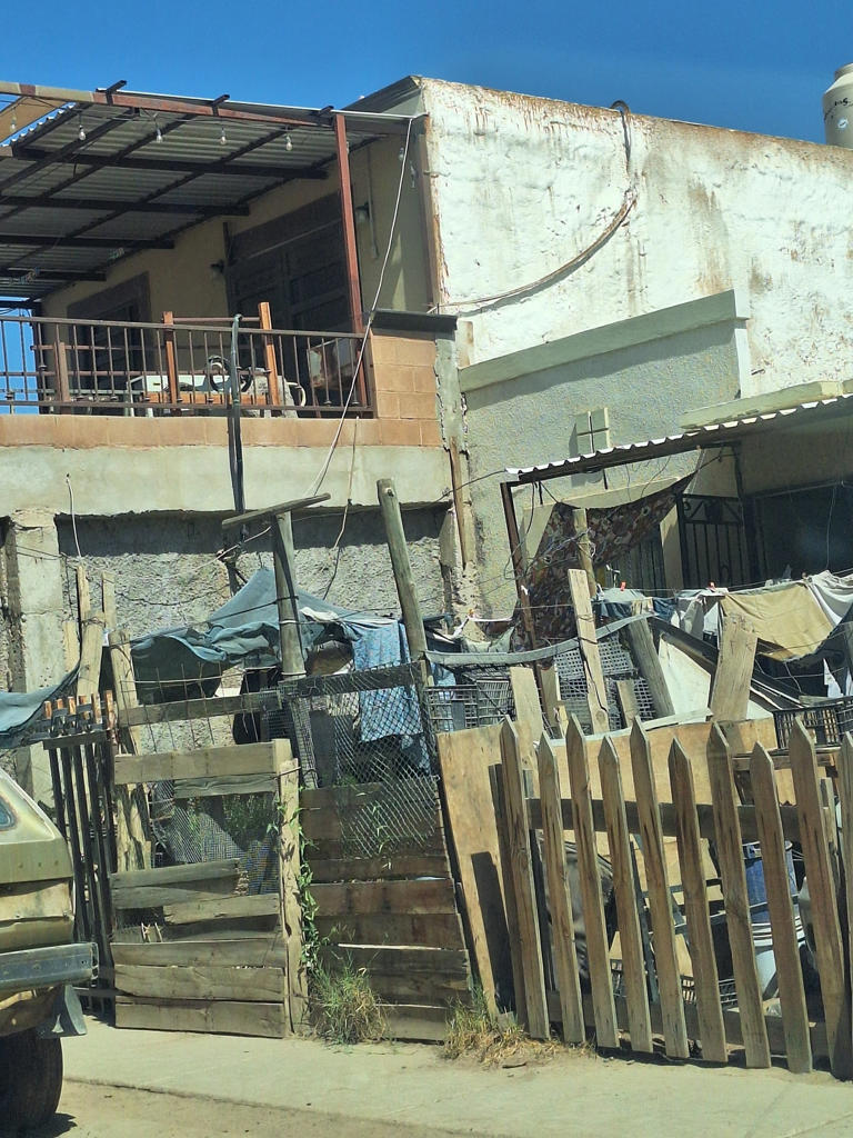 Vecinos de Urbi Villa del Prado enfrentan plagas y basura acumulada ...