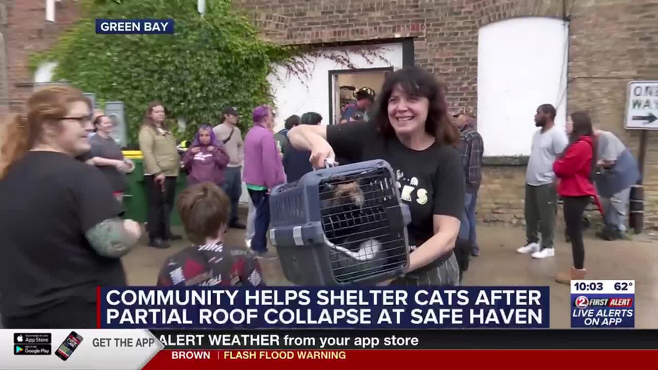 Safe Haven Pet Sanctuary evacuates cats after roof collapses during ...