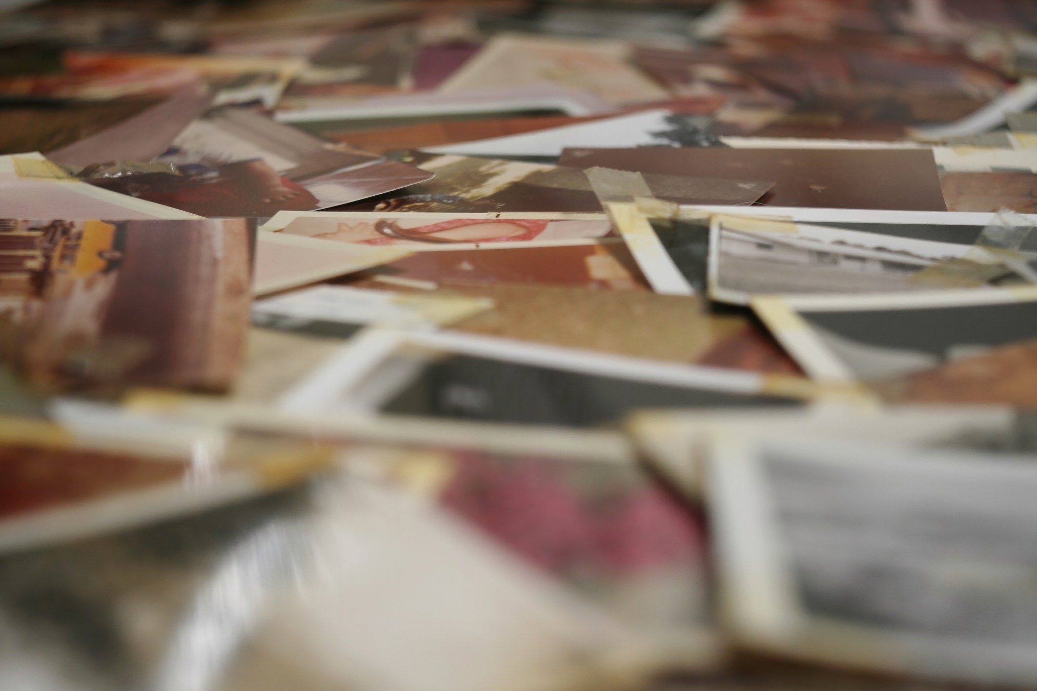 Thrifter buys used camera at Goodwill—then discovers what was on it