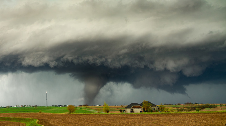 What does an EF1 tornado do to a house?