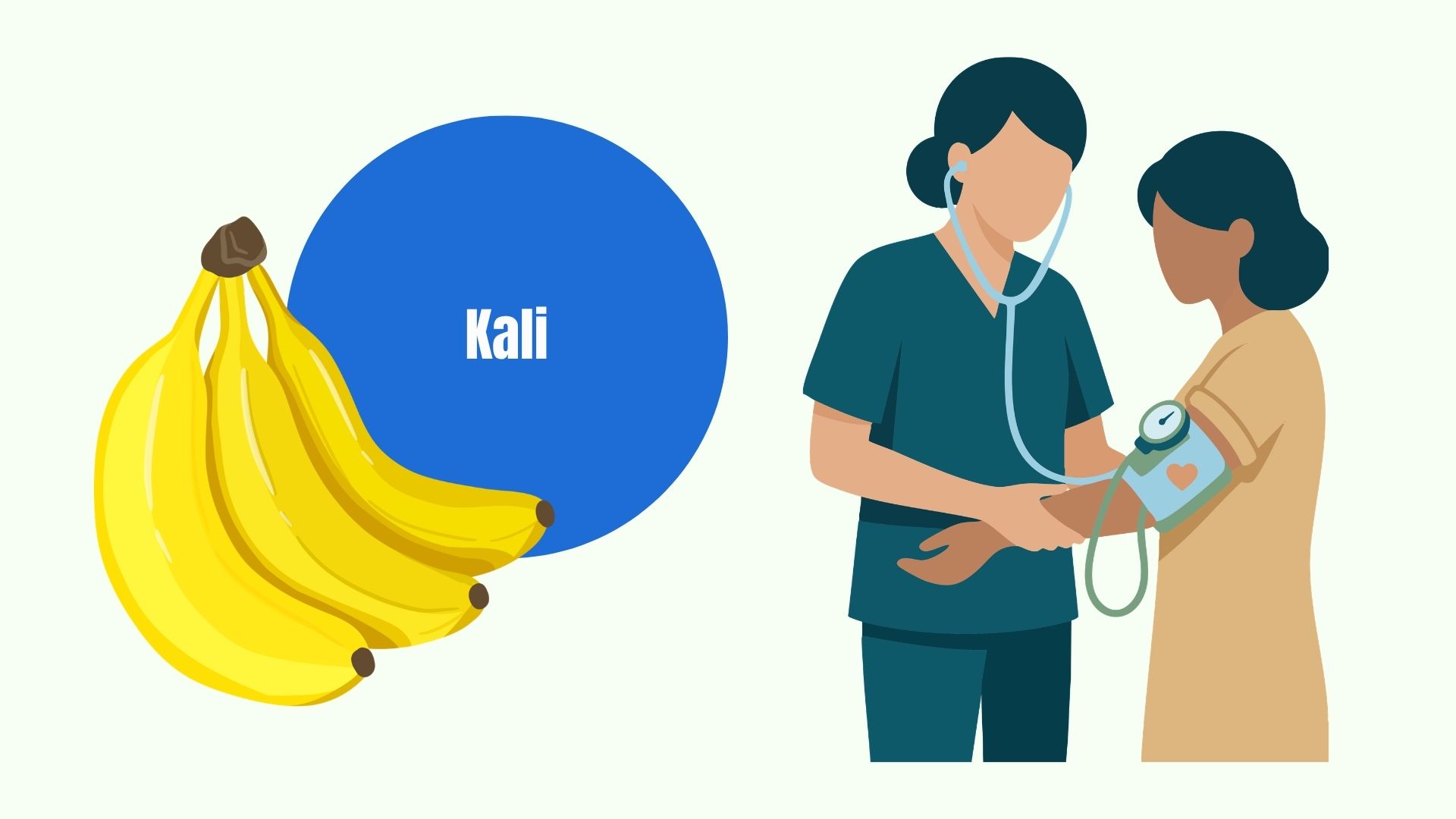 Lý do kali có thể cân bằng huyết áp