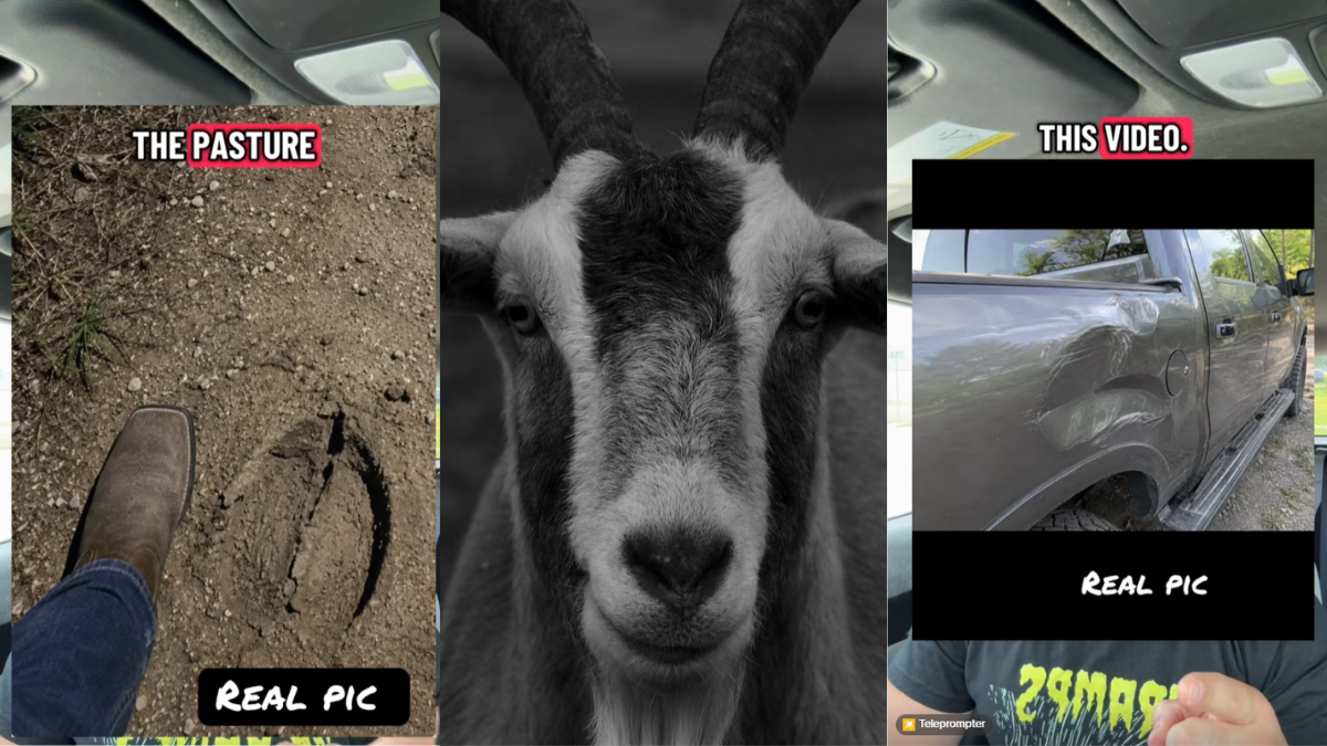 Texas man heard a shriek in the night. Then, a goat man started chasing ...
