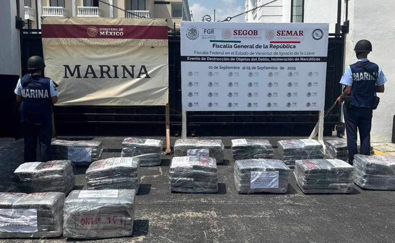 Aseguran 563 armas de fuego en Tamaulipas y Veracruz; decomisan ...