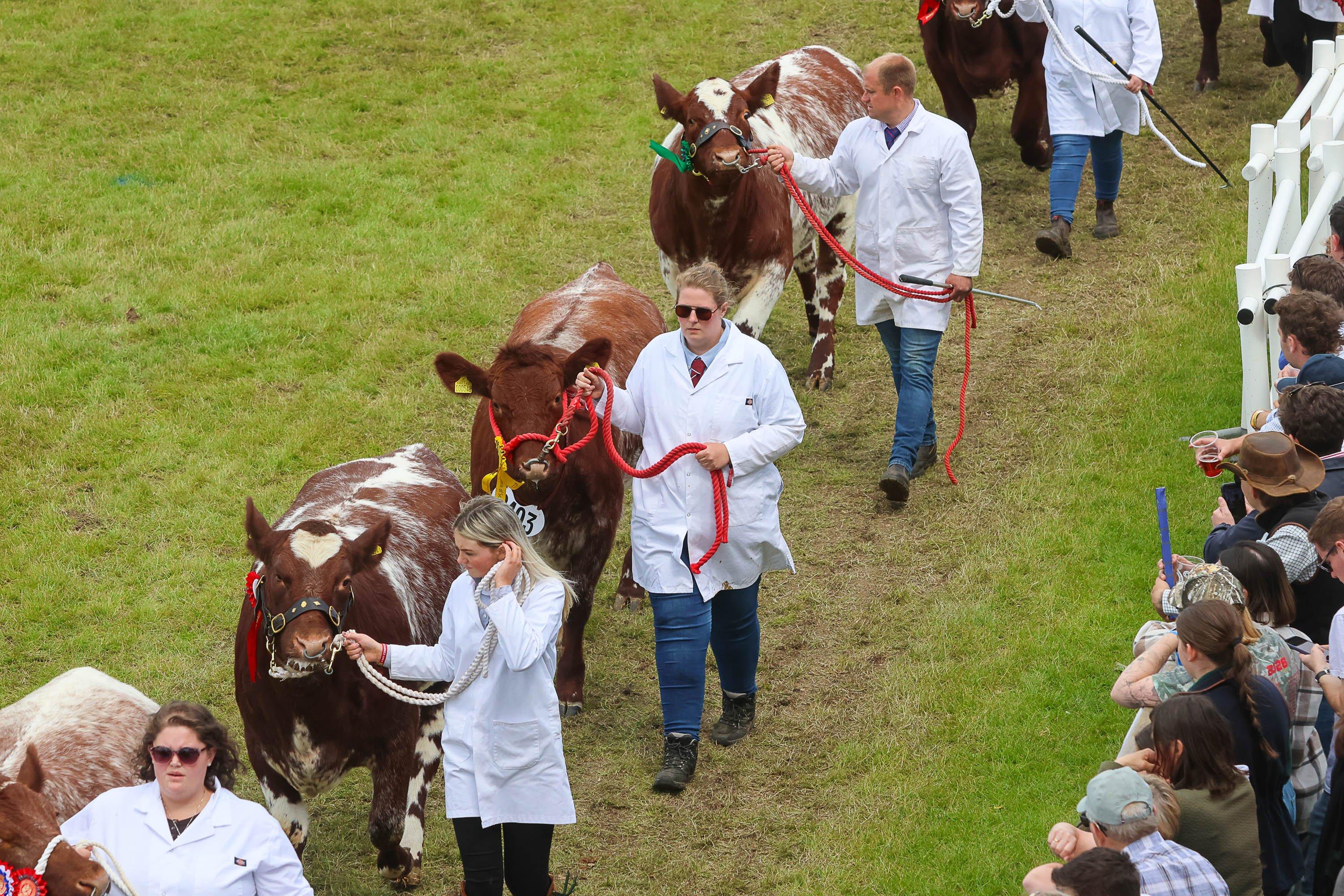 Scotland’s rural economy: farming, resilience and growth