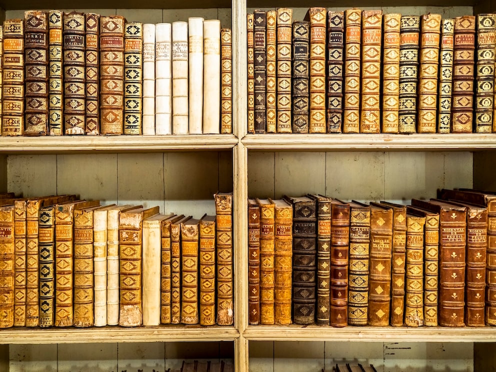 Why 500 bats live in this library in Portugal