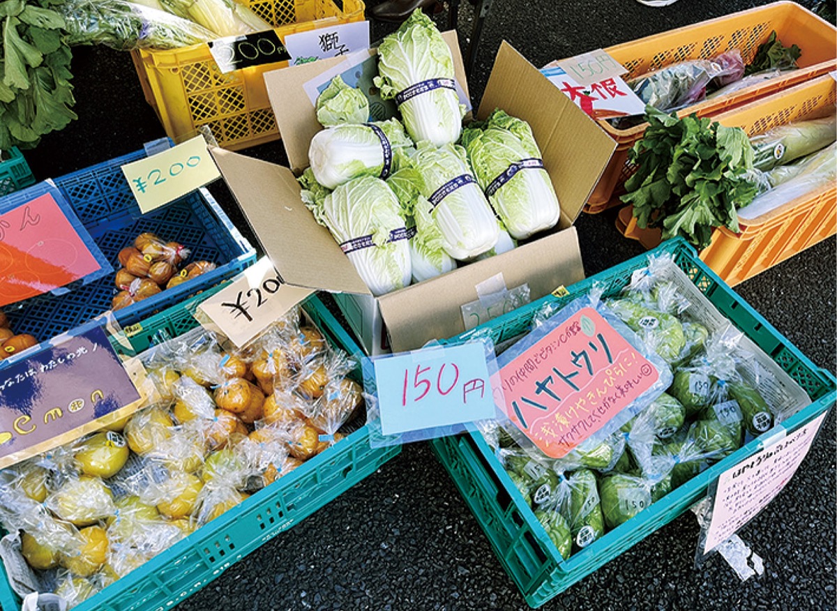 エヌアセットの｢野菜市｣ 南口店駐車場で7月4日 川崎市高津区