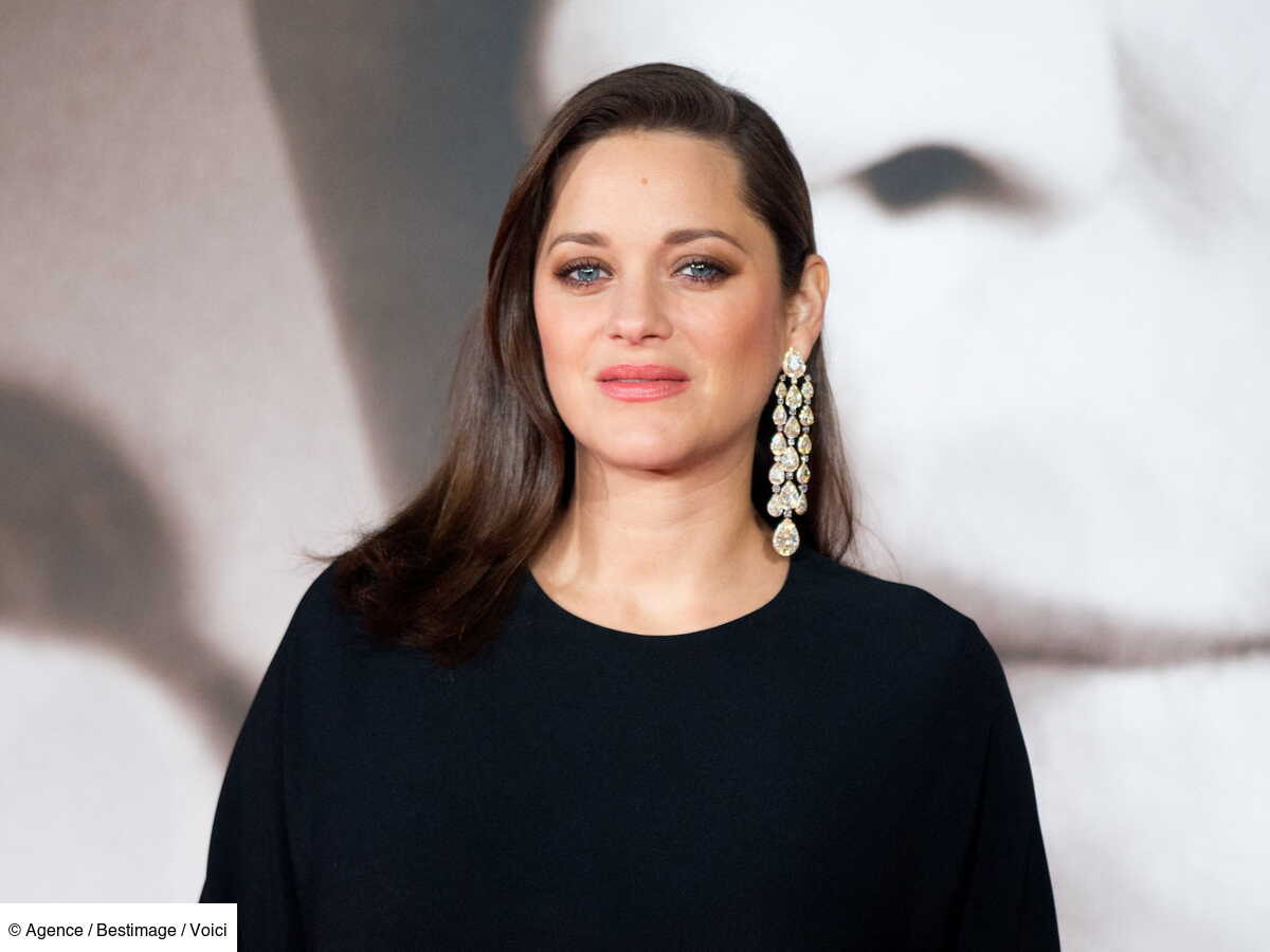 Marion Cotillard : la mort de son ex Julien Rassam, Guillaume Canet ...