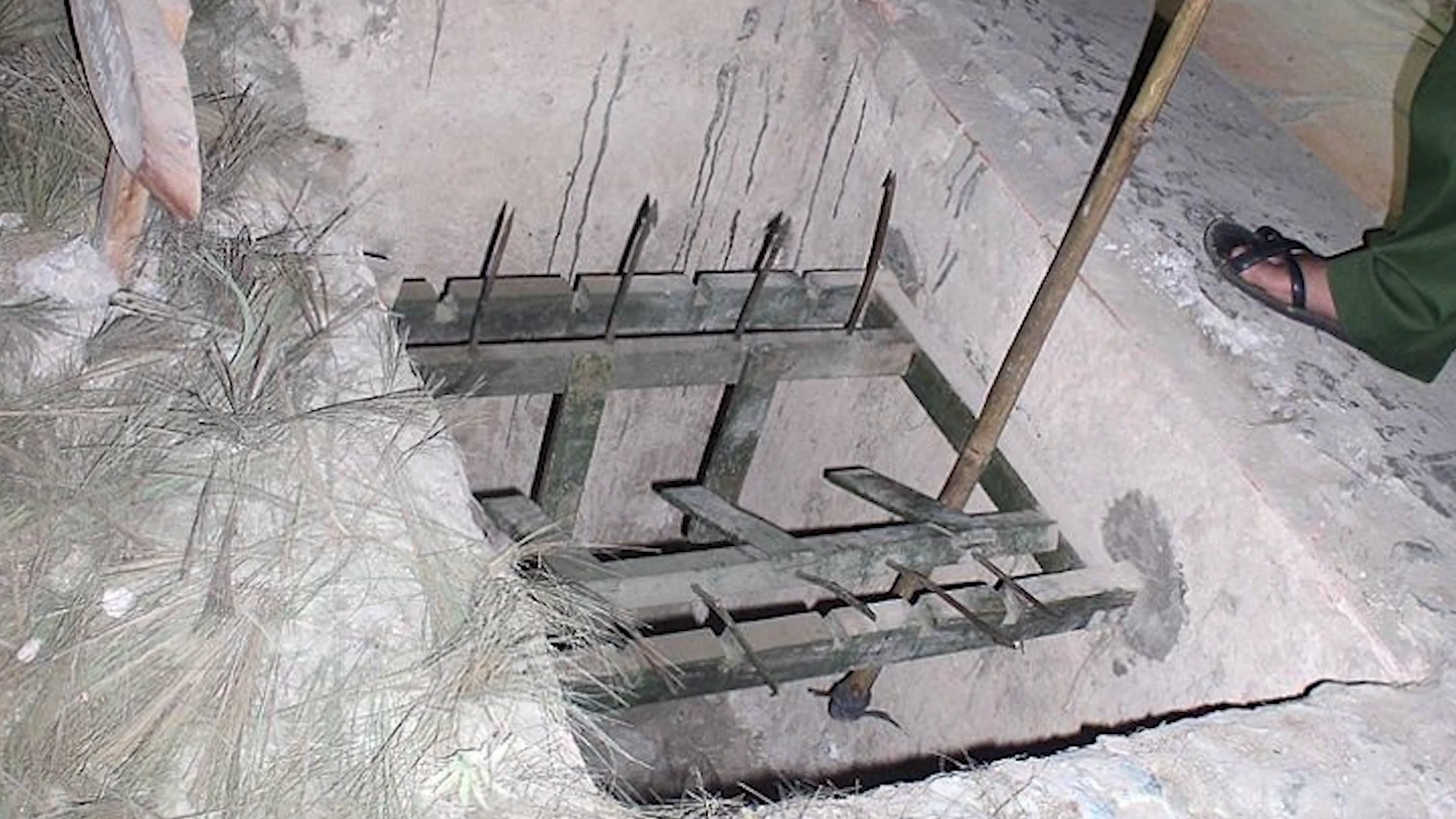 He stepped on this hidden trap - and there was no easy escape