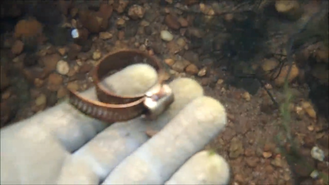 Watch this river hunt turn personal - 