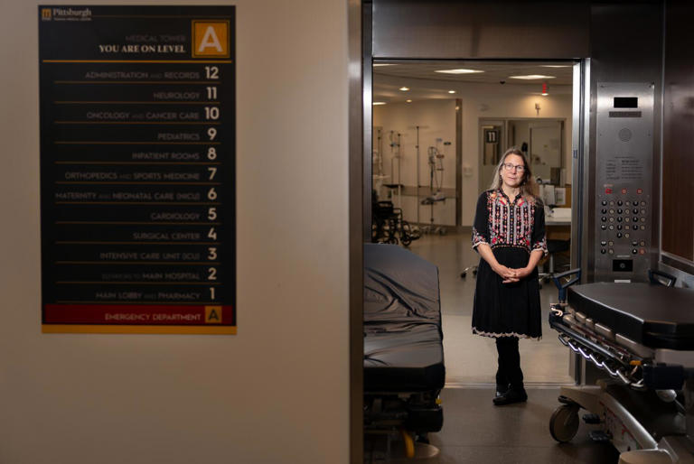 As LA battles production exodus and job losses, 'The Pitt' offers hope ...
