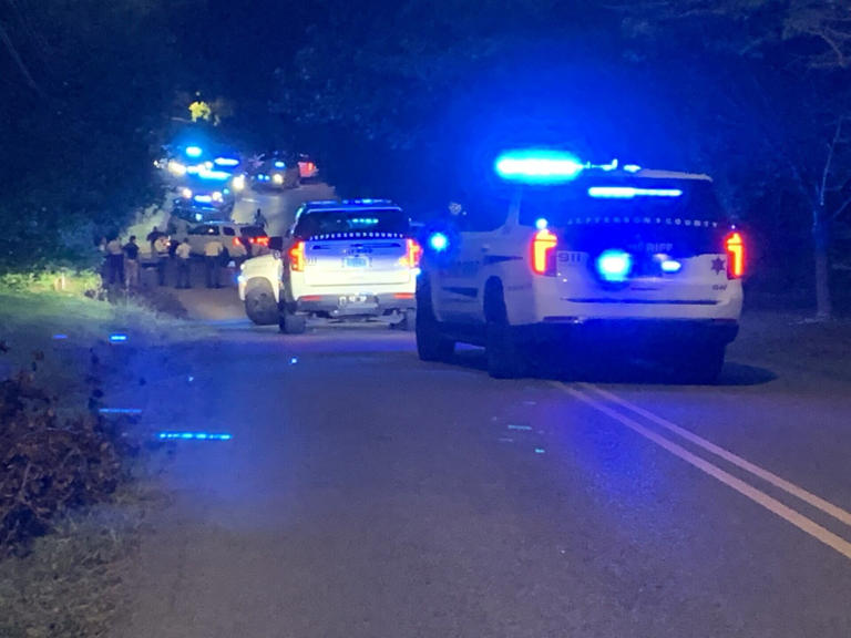 Adamsville man in custody after shots fired call